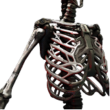 Epimorphic Skeleton
