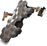 Carapace